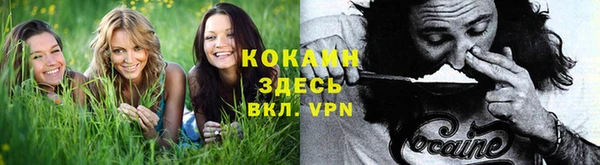 прущая мука Белокуриха