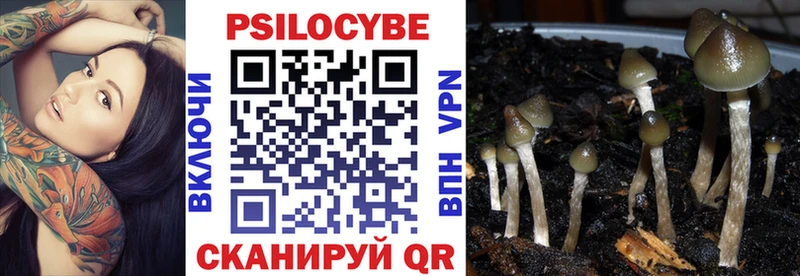 блэк спрут даркнет сайт Воркута Псилоцибиновые грибы ЛСД