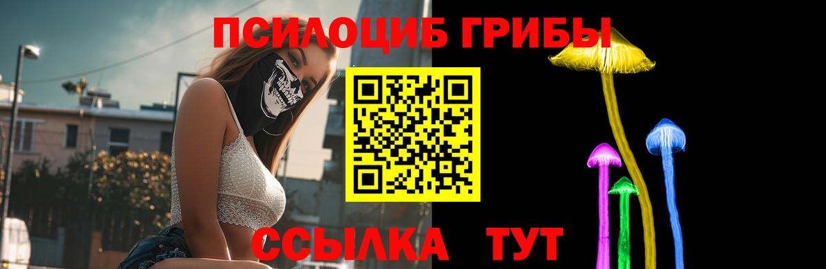 Воркута  Псилоцибиновые грибы GOLDEN TEACHER  Псилоцибиновые грибы Cubensis  Вход с VPN 